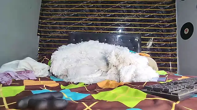 jeffblack2 online show from April 1, 2026, 12:28 pm