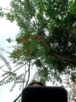 Snapshot of Karol-kamila19 chatting on December 3, 2024, 9:01 pm Karol-kamila19 online show from December 3, 2024, 9:01 pm