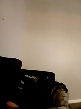 willywonka7793 online show from December 16, 2024, 5:33 pm