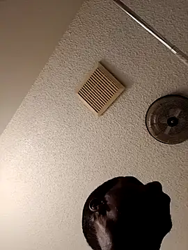 willywonka7793 online show from March 3, 2025, 4:56 pm