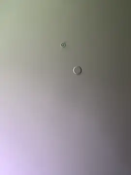 themasteer69 online show from January 16, 2025, 8:03 pm