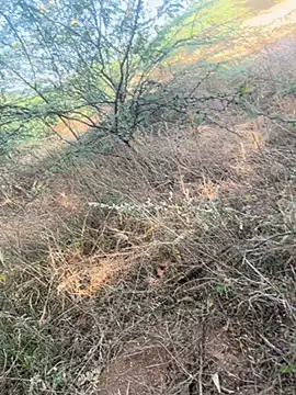 Snapshot of tamil000000 chatting on March 9, 2025, 11:03 am tamil000000 online show from March 9, 2025, 11:03 am