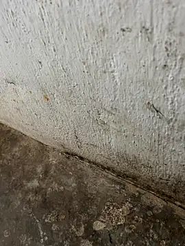 tamil000000 online show from November 3, 2025, 3:30 am