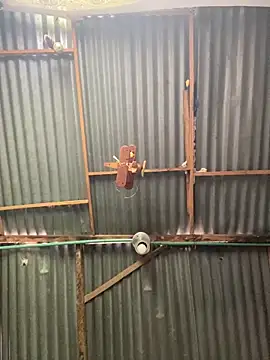 ElNegroRony online show from April 2, 2026, 4:04 pm