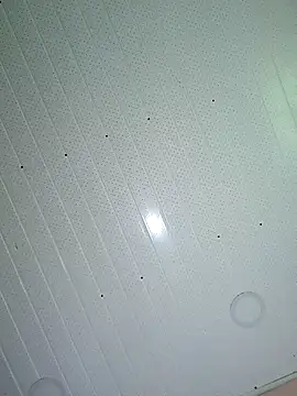 Snapshot of fatpussysasha chatting on January 14, 2025, 7:11 pm fatpussysasha online show from January 14, 2025, 7:11 pm