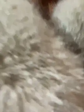 babydolll online show from January 10, 2025, 4:30 pm