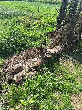 Snapshot of poision51 chatting on February 23, 2025, 7:55 am poision51 online show from February 23, 2025, 7:55 am