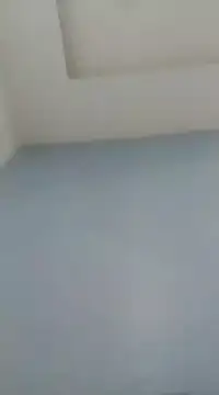 Snapshot of Dexiboy chatting on January 7, 2025, 5:31 pm Dexiboy online show from January 7, 2025, 5:31 pm