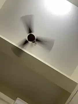 soniyatelugu online show from December 13, 2024, 2:54 am