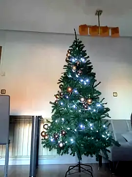 Snapshot of Ryan-hot chatting on December 5, 2024, 10:55 am Ryan-hot online show from December 5, 2024, 10:55 am