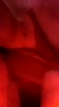 sosarax online show from February 5, 2025, 3:20 pm