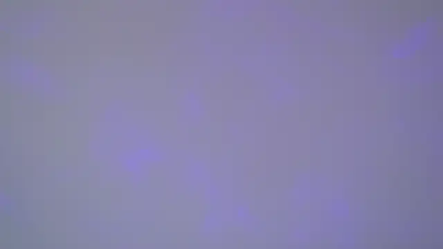 Snapshot of SelinSwarovski chatting on November 1, 2025, 5:09 am SelinSwarovski online show from November 1, 2025, 5:09 am