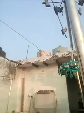 Snapshot of sailord chatting on January 29, 2025, 11:30 am sailord online show from January 29, 2025, 11:30 am