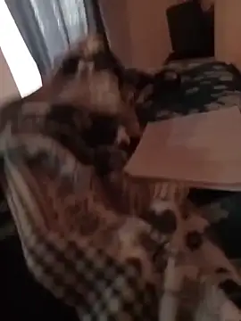 Snapshot of MrTamburine22 chatting on February 27, 2026, 1:44 pm MrTamburine22 online show from February 27, 2026, 1:44 pm