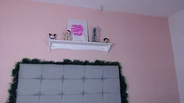 Snapshot of dholcee chatting on January 9, 2026, 3:15 pm dholcee online show from January 9, 2026, 3:15 pm