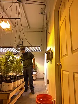 jr91esl online show from March 2, 2025, 5:14 pm