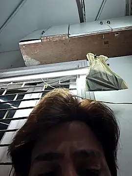 faaseel online show from November 17, 2025, 6:08 am