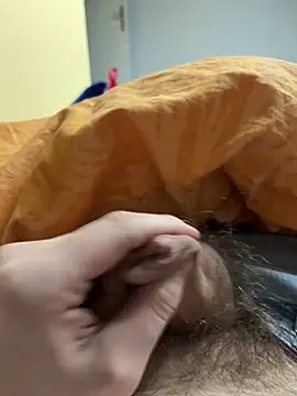 stev3w online show from February 8, 2025, 3:53 pm