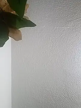 Naomy veracruz  online show from February 21, 2026, 10:27 am