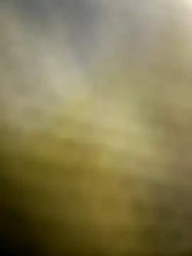 lemon69Reo online show from July 15, 2026, 6:18 am