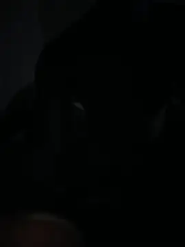 Bignc online show from March 27, 2026, 11:32 am