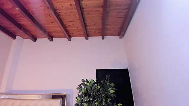 im sebaslopez online show from January 17, 2026, 8:01 pm