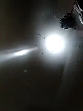 Innsaciable online show from April 11, 2026, 11:31 pm