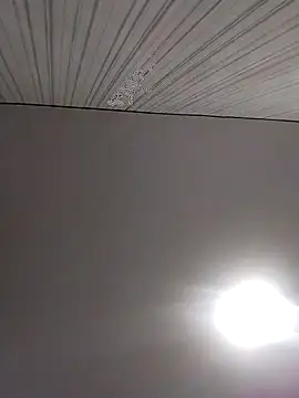 Lorrain Dorrie online show from December 2, 2025, 6:30 am