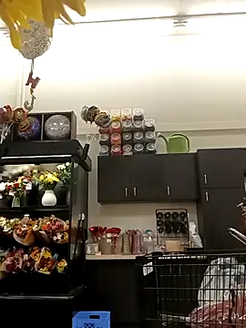 Snapshot of kobrashekyng chatting on October 20, 2025, 2:39 pm kobrashekyng online show from October 20, 2025, 2:39 pm