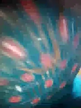 Snapshot of Ruby_Sc chatting on December 8, 2024, 1:36 pm Ruby Sc online show from December 8, 2024, 1:36 pm