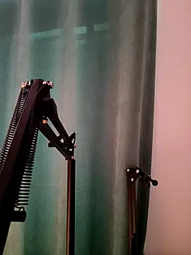 Weiwei5200 online show from November 26, 2025, 1:56 pm