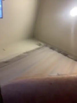 FrankJake99 online show from November 5, 2025, 11:49 pm