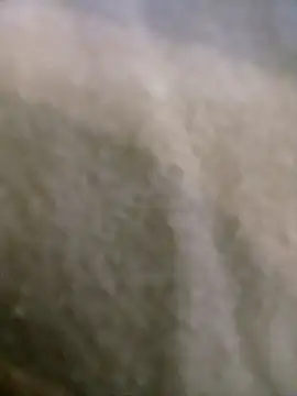 houy111111 online show from January 9, 2026, 5:48 pm