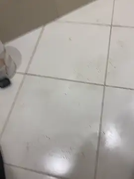 Lahcene online show from February 7, 2026, 5:38 pm