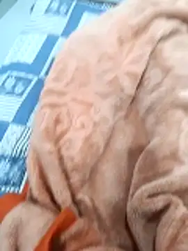 Kakabiraji online show from November 8, 2025, 5:01 pm