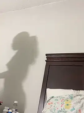 Snapshot of 1prettygem chatting on December 20, 2024, 11:05 pm 1prettygem online show from December 20, 2024, 11:05 pm