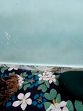 Snapshot of Haniya-143 chatting on December 15, 2025, 9:41 pm Haniya-143 online show from December 15, 2025, 9:41 pm