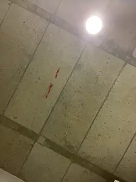 Snapshot of fathomless chatting on November 2, 2025, 2:14 am fathomless online show from November 2, 2025, 2:14 am