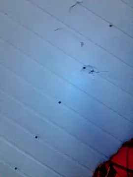 frotasso online show from December 12, 2024, 4:15 am