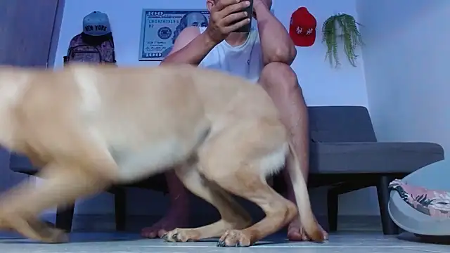 boss of cash online show from April 2, 2026, 8:28 pm