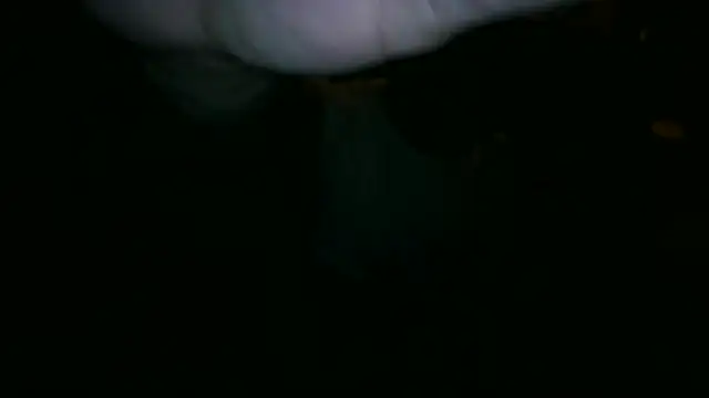 Nickj630 online show from October 22, 2025, 3:40 am