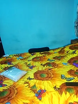 bhavanitelu online show from November 29, 2025, 6:33 pm