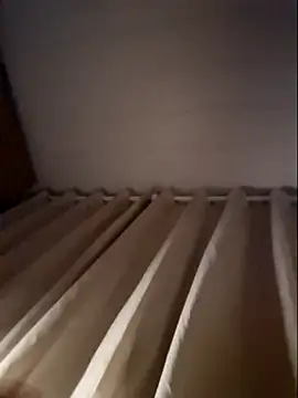 Leinad27 online show from November 11, 2025, 1:27 am