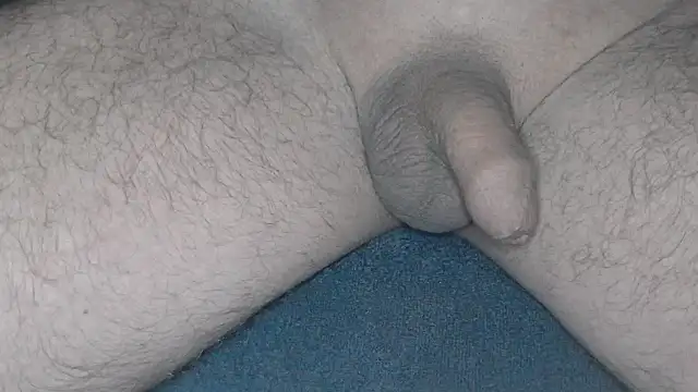 Snapshot of cs1512 chatting on February 26, 2025, 4:36 am cs1512 online show from February 26, 2025, 4:36 am