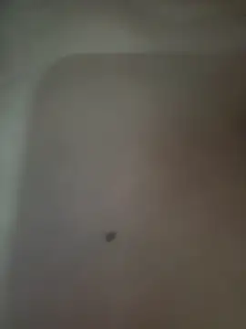 Snapshot of Akhi_Akshaya chatting on January 6, 2025, 5:38 pm Akhi Akshaya online show from January 6, 2025, 5:38 pm