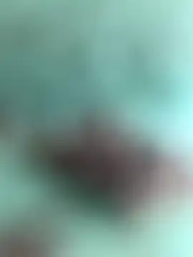 Indiancockmilk online show from January 31, 2025, 6:35 am