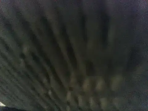 Snapshot of party51502 chatting on March 8, 2025, 7:20 pm party51502 online show from March 8, 2025, 7:20 pm