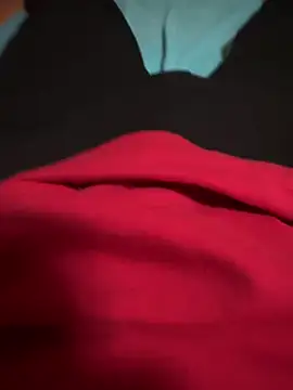 Snapshot of Dvddd chatting on November 9, 2025, 12:47 pm Dvddd online show from November 9, 2025, 12:47 pm