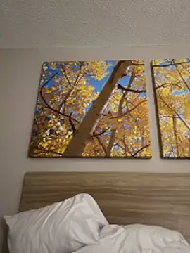 kayNkris online show from February 7, 2026, 10:13 pm