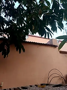 carria homes online show from January 28, 2025, 12:43 pm